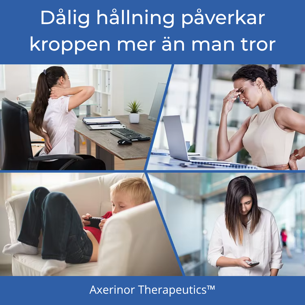 Axerinor Hållningsstöd Core™